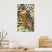 Vintage Barn Owl Painting Print (Keuken)