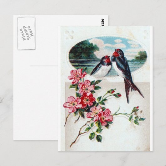 Vintage Barn Swallows Briefkaart (Voorkant / Achterkant)
