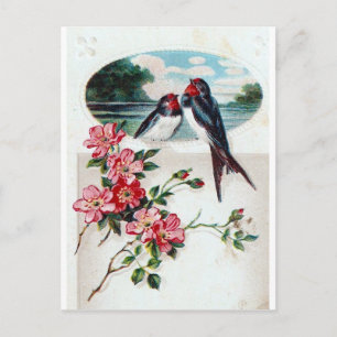 Vintage Barn Swallows Briefkaart