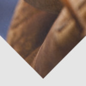 Vintage Baseball Tissuepapier (Detail)