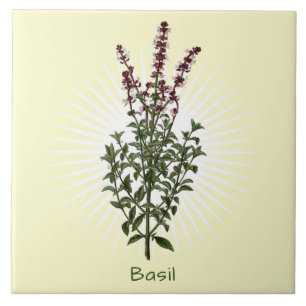 Vintage Basil Herb Botanische Kunstkeramische Tege Tegeltje