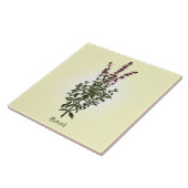 Vintage Basil Herb Botanische Kunstkeramische Tege Tegeltje (Zijkant)