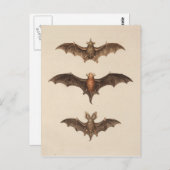 Vintage Bats Halloween Briefkaart (Voorkant / Achterkant)