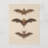 Vintage Bats Halloween Briefkaart (Voorkant)
