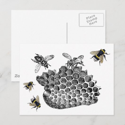 Vintage Bees Briefkaart (Voorkant / Achterkant)