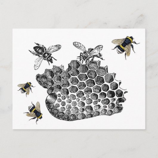 Vintage Bees Briefkaart (Voorkant)