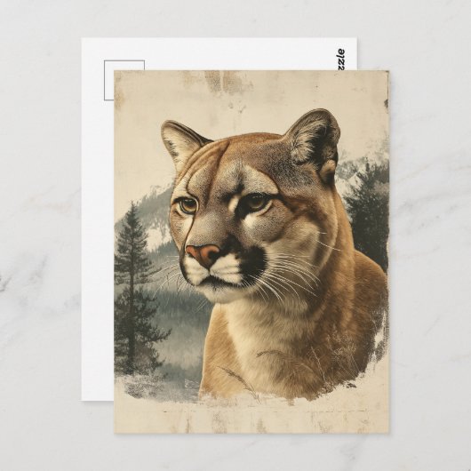 Vintage Berglöwe In Winterlandschaft Briefkaart (Voorkant / Achterkant)