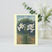 Vintage Bermuda Lilies, Bermuda Briefkaart (Staand voorkant)