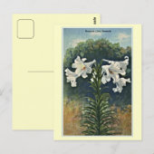 Vintage Bermuda Lilies, Bermuda Briefkaart (Voorkant / Achterkant)