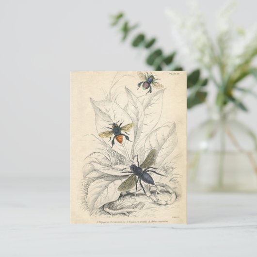 Vintage Bijen Briefkaart (Staand voorkant)