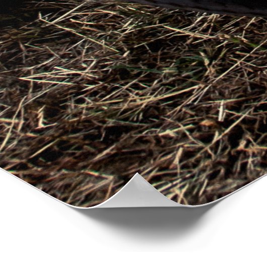 Vintage Bike Poster (Hoek)