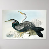 Vintage Bird Art Poster (Voorkant)