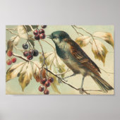 Vintage Bird en Berries Poster (Voorkant)