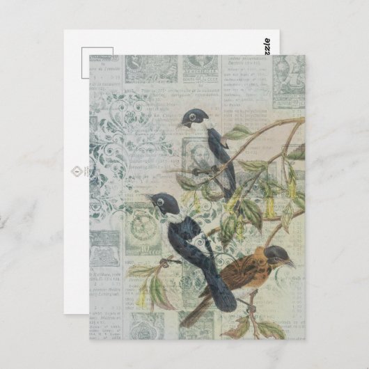 Vintage Bird Ephemera Briefkaart ontkoppeling (Voorkant / Achterkant)