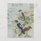 Vintage Bird Ephemera Briefkaart ontkoppeling (Voorkant)