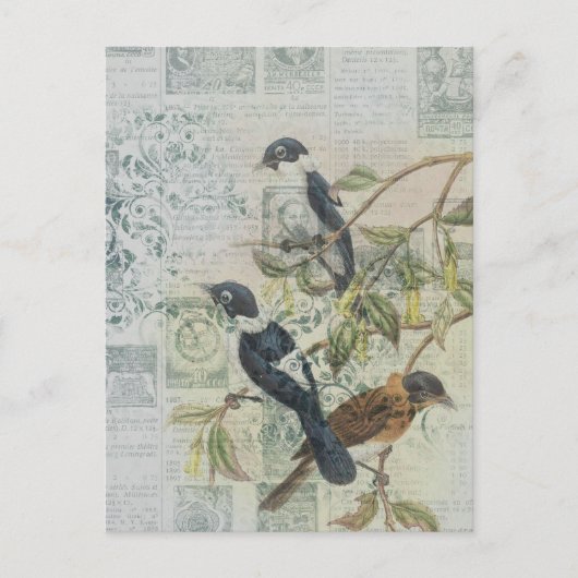 Vintage Bird Ephemera Briefkaart ontkoppeling (Voorkant)