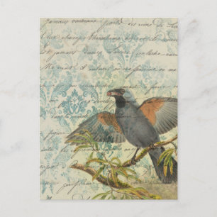 Vintage Bird Ephemera Briefkaart ontkoppeling