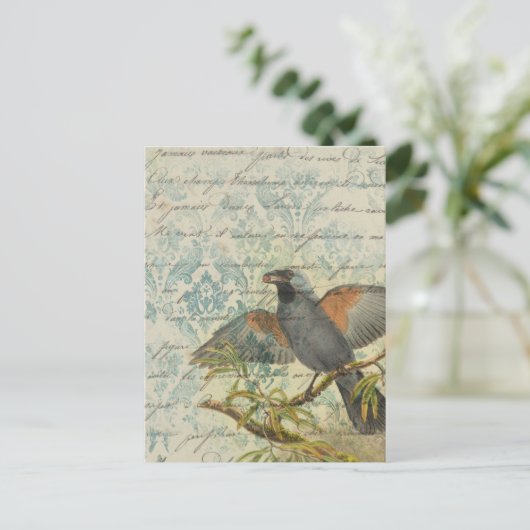 Vintage Bird Ephemera Briefkaart ontkoppeling (Staand voorkant)
