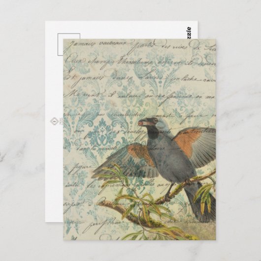 Vintage Bird Ephemera Briefkaart ontkoppeling (Voorkant / Achterkant)