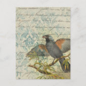 Vintage Bird Ephemera Briefkaart ontkoppeling (Voorkant)