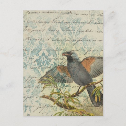 Vintage Bird Ephemera Briefkaart ontkoppeling (Voorkant)