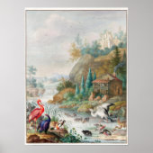 Vintage Birds Illustration Poster (Voorkant)