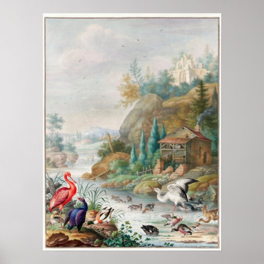 Vintage Birds Illustration Poster (Voorkant)