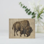 Vintage Bison Briefkaart (Staand voorkant)