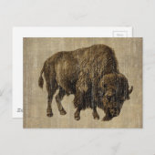 Vintage Bison Briefkaart (Voorkant / Achterkant)