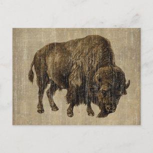 Vintage Bison Briefkaart