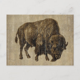 Vintage Bison Briefkaart