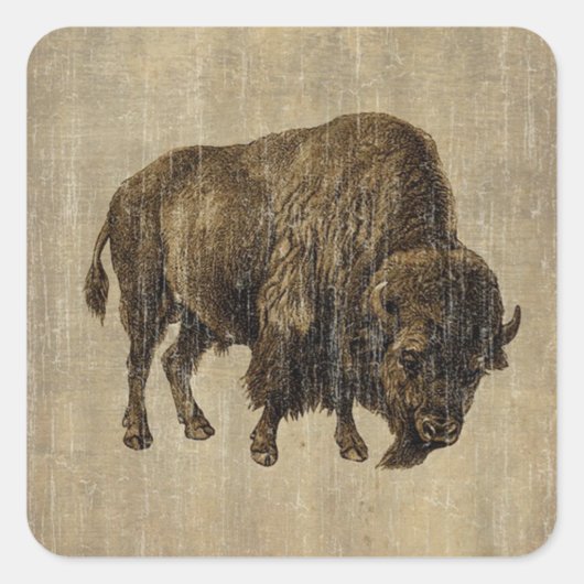 Vintage Bison Vierkante Sticker (Voorkant)