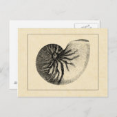 Vintage Black and White Conch Shell Briefkaart (Voorkant / Achterkant)