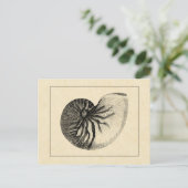 Vintage Black and White Conch Shell Briefkaart (Staand voorkant)