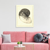 Vintage Black and White Conch Shell Canvas Afdruk (Insitu (Woonkamer))