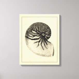 Vintage Black and White Conch Shell Canvas Afdruk