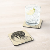 Vintage Black and White Conch Shell Drankjes Onderzetter (Rechterzijde)