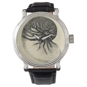 Vintage Black and White Conch Shell Horloge