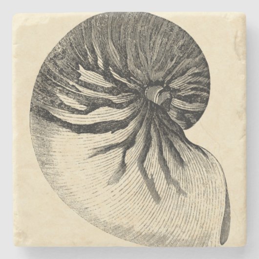 Vintage Black and White Conch Shell Stenen Onderzetter (Voorkant)