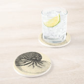 Vintage Black and White Conch Shell Zandsteen Onderzetter (Zijkant)