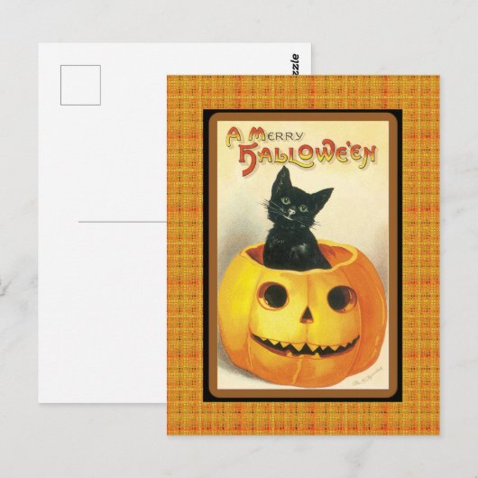 Vintage Black Cat Pumpkin Halloween Briefkaart (Voorkant / Achterkant)