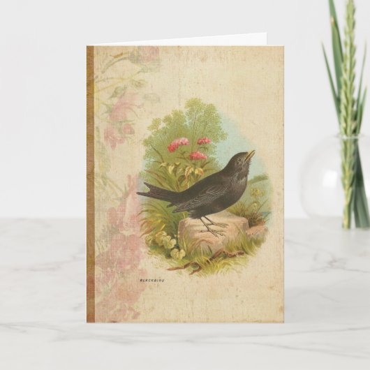 Vintage Blackbird Verjaardag Kaart (Voorkant)