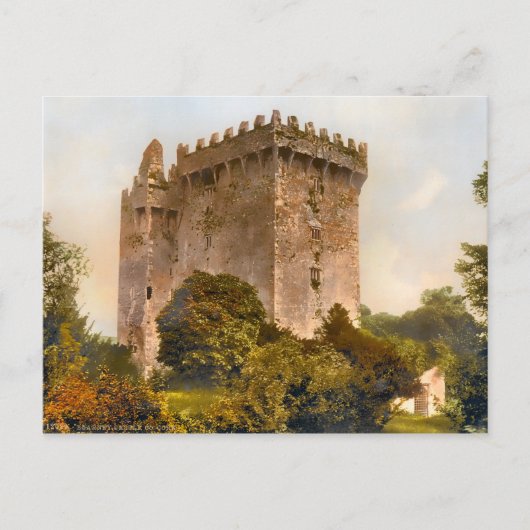 Vintage Blarney Castle Ierland Briefkaart (Voorkant)