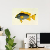 Vintage blauwe en gele zeebaars, zeeleven poster (Thuiskantoor)