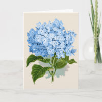 Vintage Blauwe Hydrangea hortensia