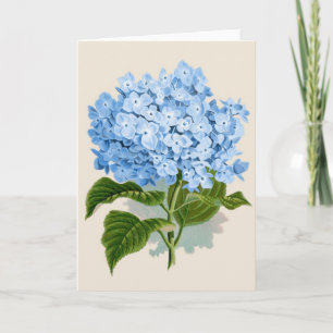 Vintage Blauwe Hydrangea hortensia Kaart