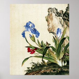 Vintage Blauwe Iris en Geleerdenrots Kunstprint Poster