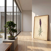 Vintage Blazing Star Bloem Wandschildering Poster