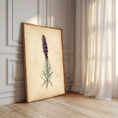 Vintage Blazing Star Bloem Wandschildering Poster