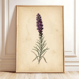 Vintage Blazing Star Bloem Wandschildering Poster
